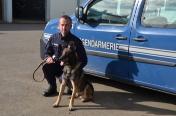 gendarme maitre chien